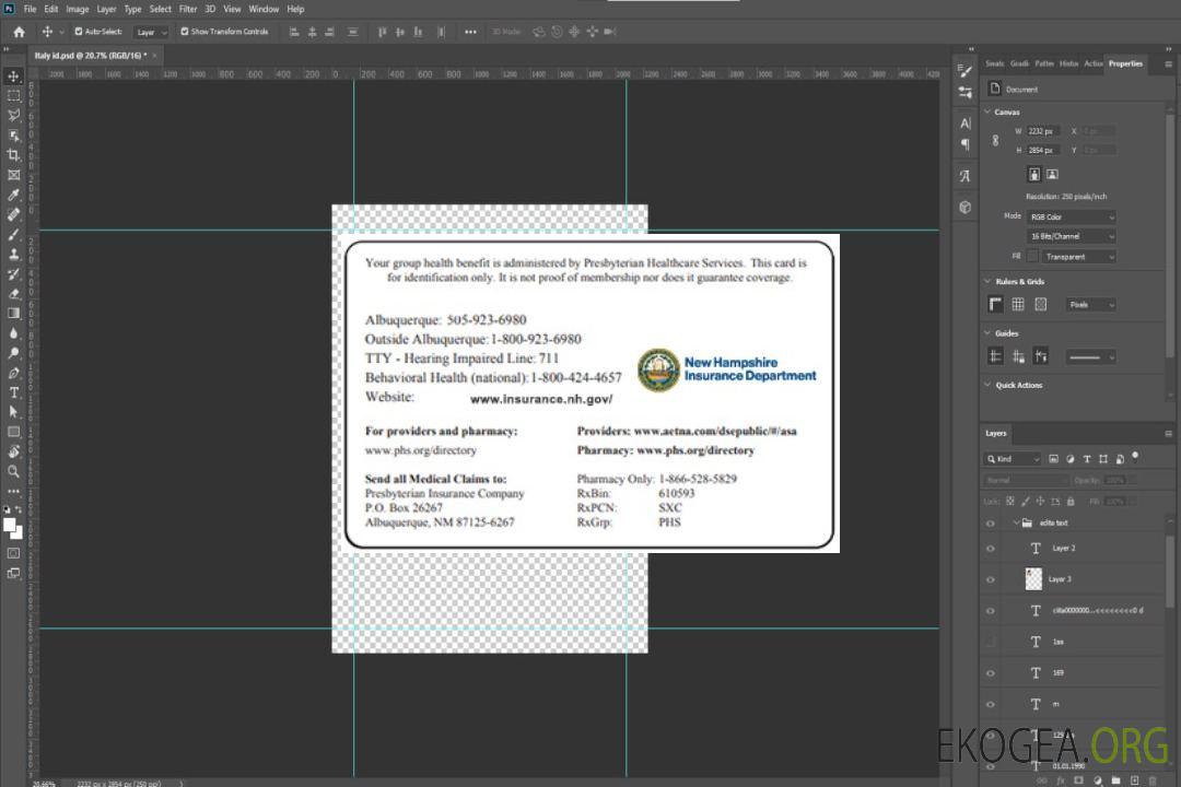 Carte d'assurance maladie du New Hampshire template